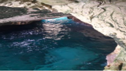 حرب غزة - استمارة بحثية عن تجربة الاختصاصي النفسي أثناء الحرب في غزة - د. محمود صبحي سعيد